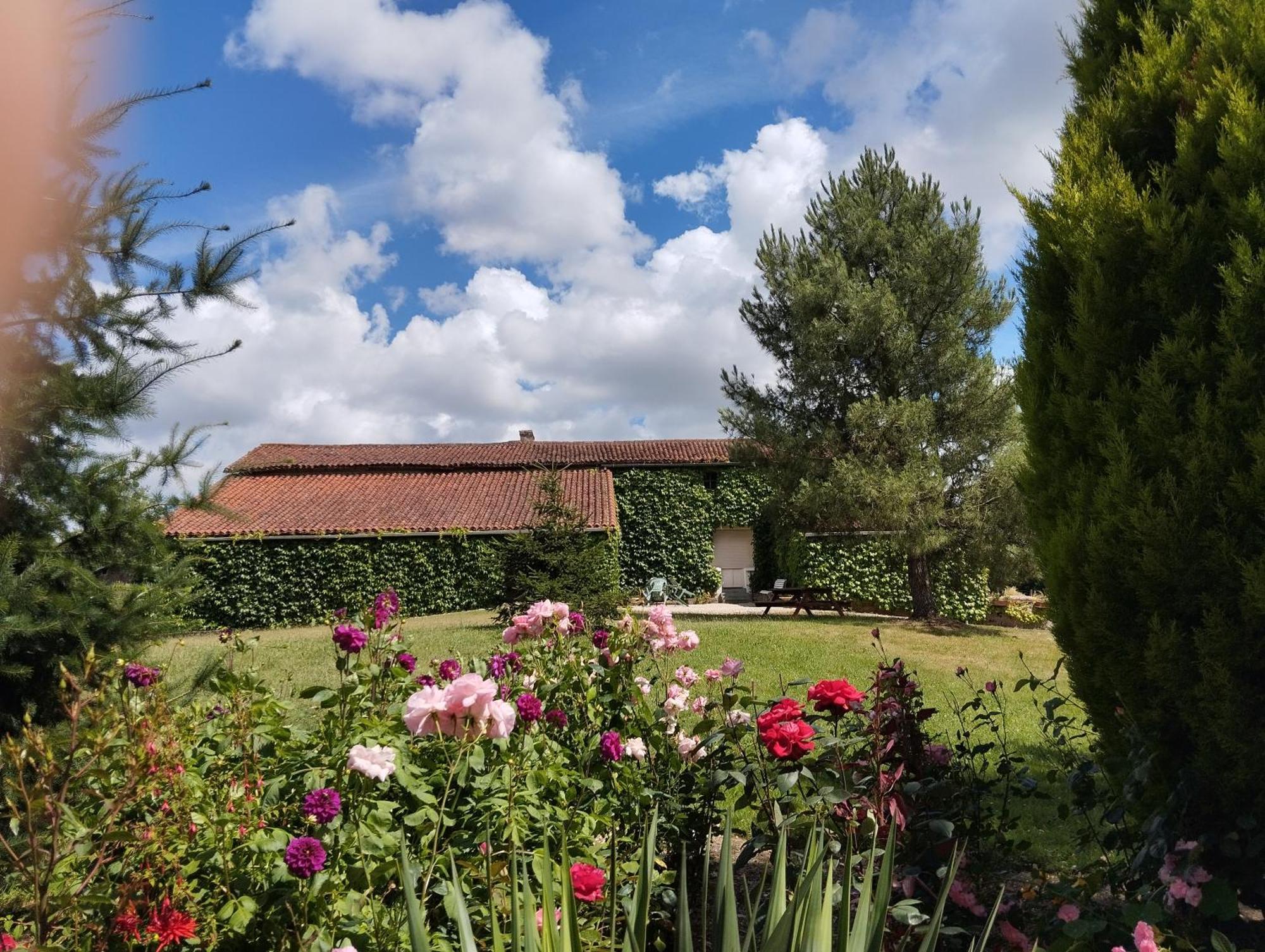 Maison Au Calme Avec Vue Etang Clesse  Екстер'єр фото