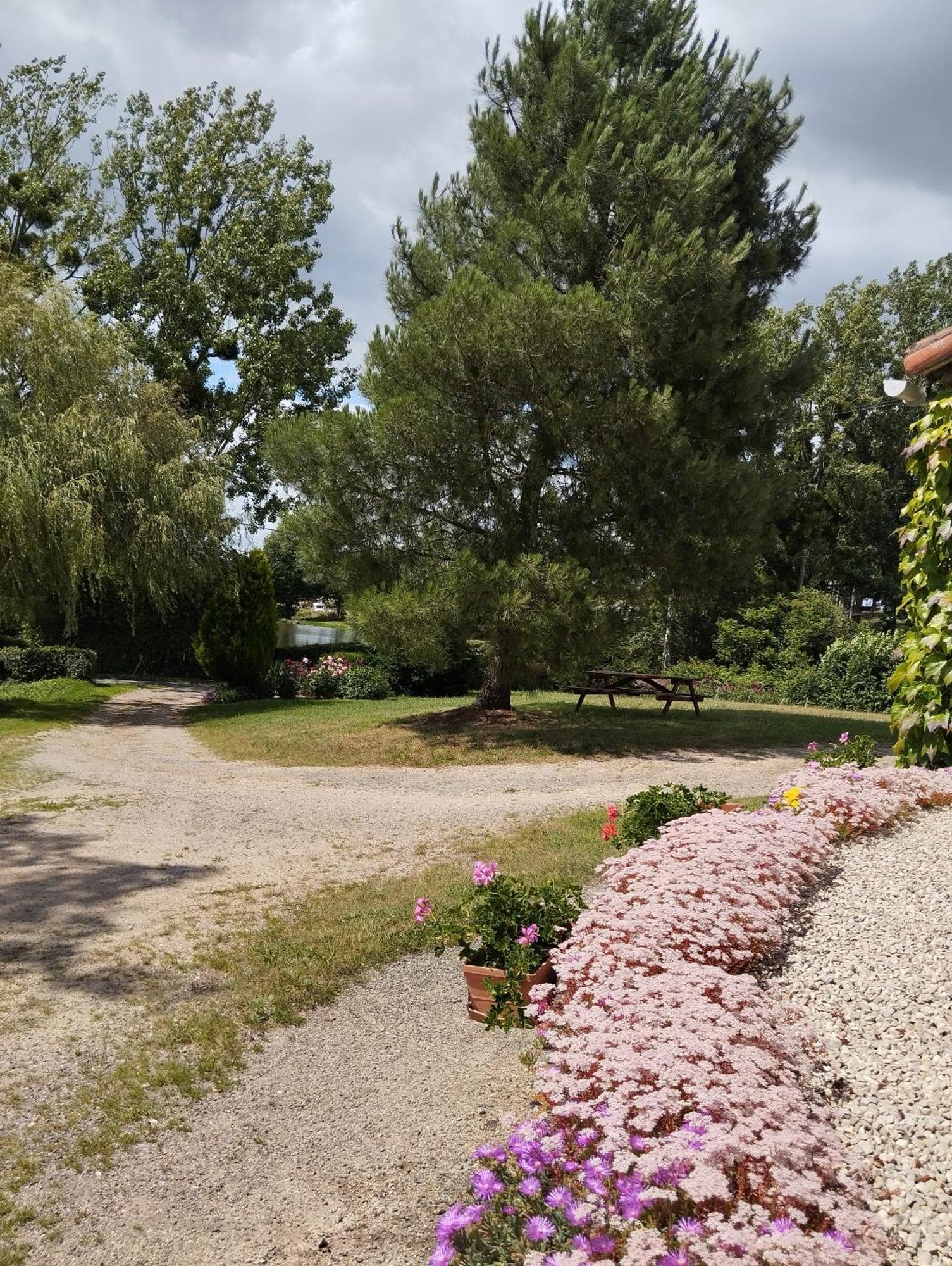 Maison Au Calme Avec Vue Etang Clesse  Екстер'єр фото